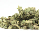 Mullein - Image 2