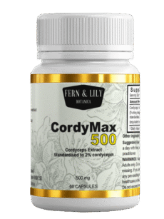 Cordyceps extract capsules 500mg