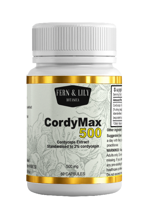 Cordyceps extract capsules 500mg