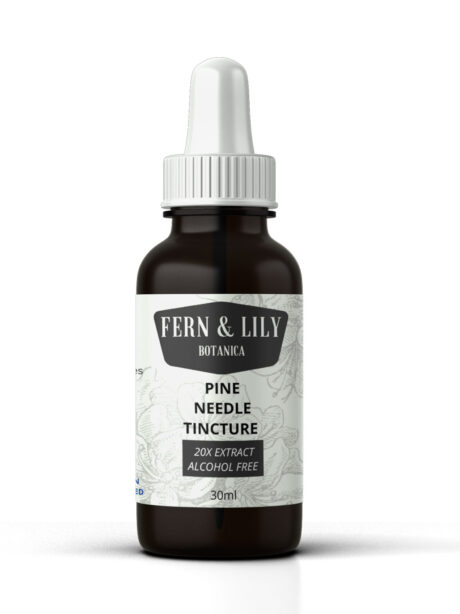 Pine Needle tincture extract 20x