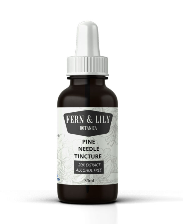 Pine Needle tincture extract 20x