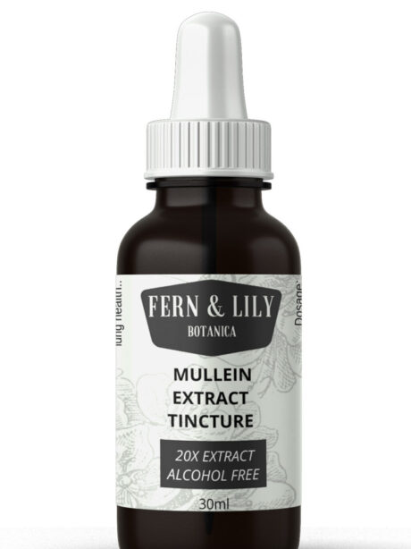 mullein tincture extract 20x