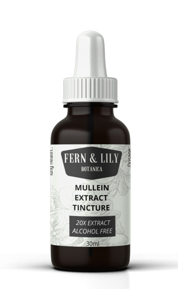 mullein tincture extract 20x