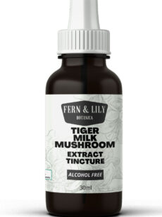 Tiger Milk Mushroom extract tincture