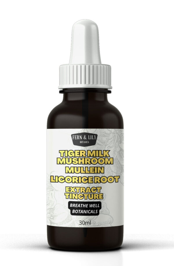 Tiger’s Milk Mushroom, Mullein & Licorice Root Extract Tincture – Lung & Cough Support