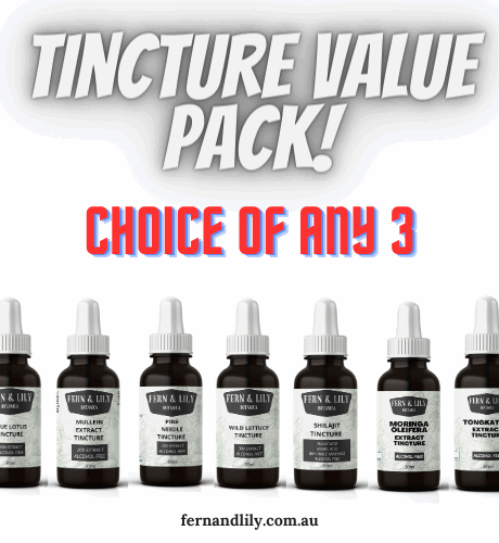 Choose Your Own Tincture Bundle – 3 Pack | Alcohol-Free Herbal Extracts