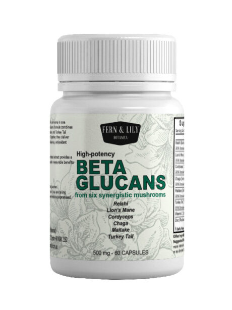 Beta Glucans – from 6 Synergistic Mushrooms with Vitamin C & Zinc